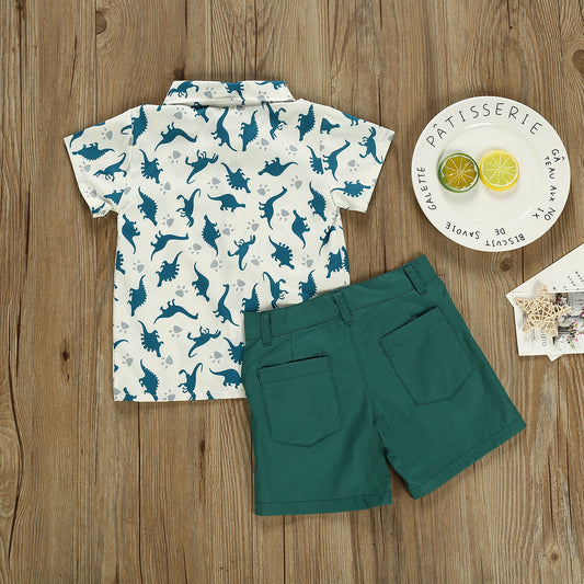 Boy's summer outfit: shirt with playful dinosaur print and comfy pants.