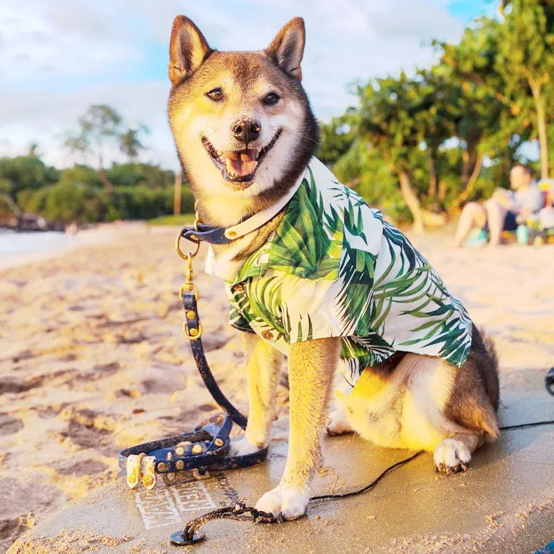 Cotton Made Hawaiian Style Green Themed Dog Shirt