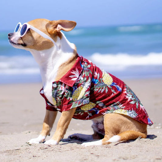 Summer Beach Friendly Tropical Vibe Style Dog Shirt