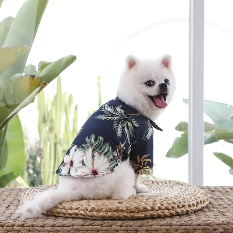 Hawaiian Beach Print Summer Cats and Dogs Cool Shirts