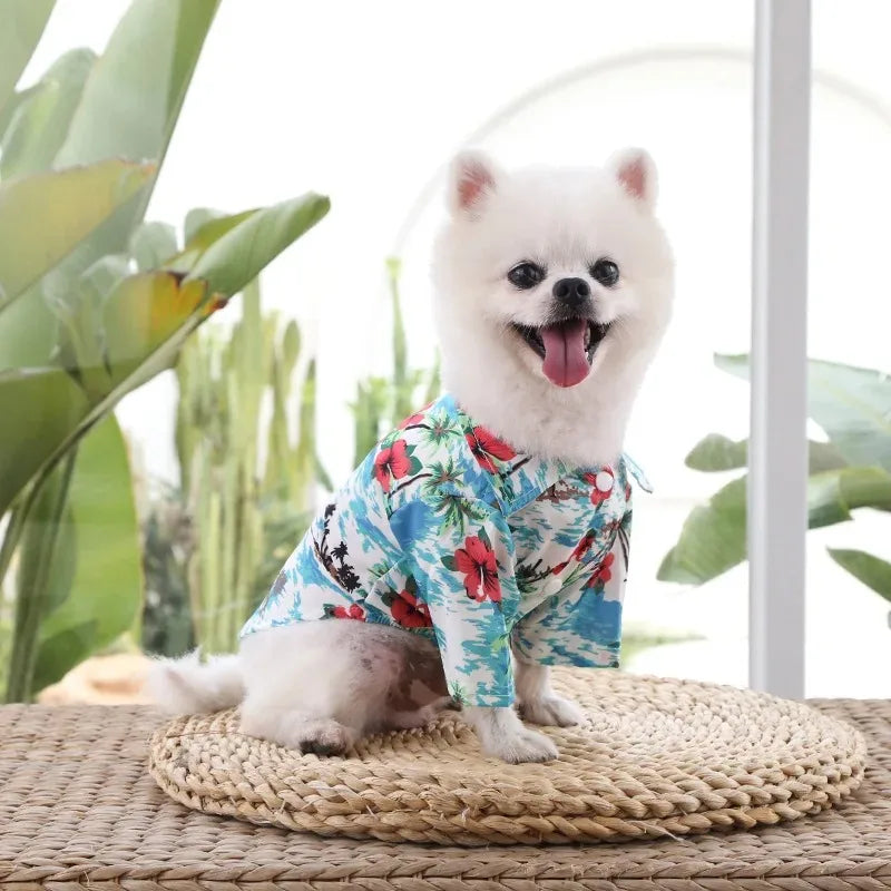 Hawaiian Beach Print Summer Cats and Dogs Cool Shirts