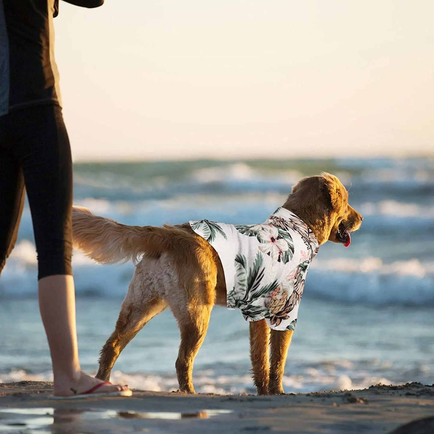 Summer Beach Friendly Tropical Vibe Style Dog Shirt